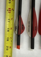 Barnett Cross Bow Bolts 20 Inch Bolts – Item 4211
