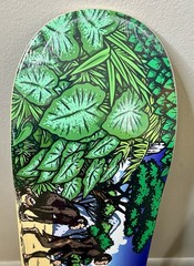 Supreme Evolution Skateboard Deck SS26 8.25 X 32 Brand New Sold Out