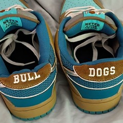 Shorsey Sudbury Bull Dogs sneakers, Men’s US 13