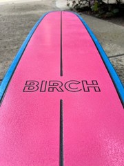 60″ BIRCH Longboard Skateboard Cruiser Complete Setup with Paris Trucks NEW