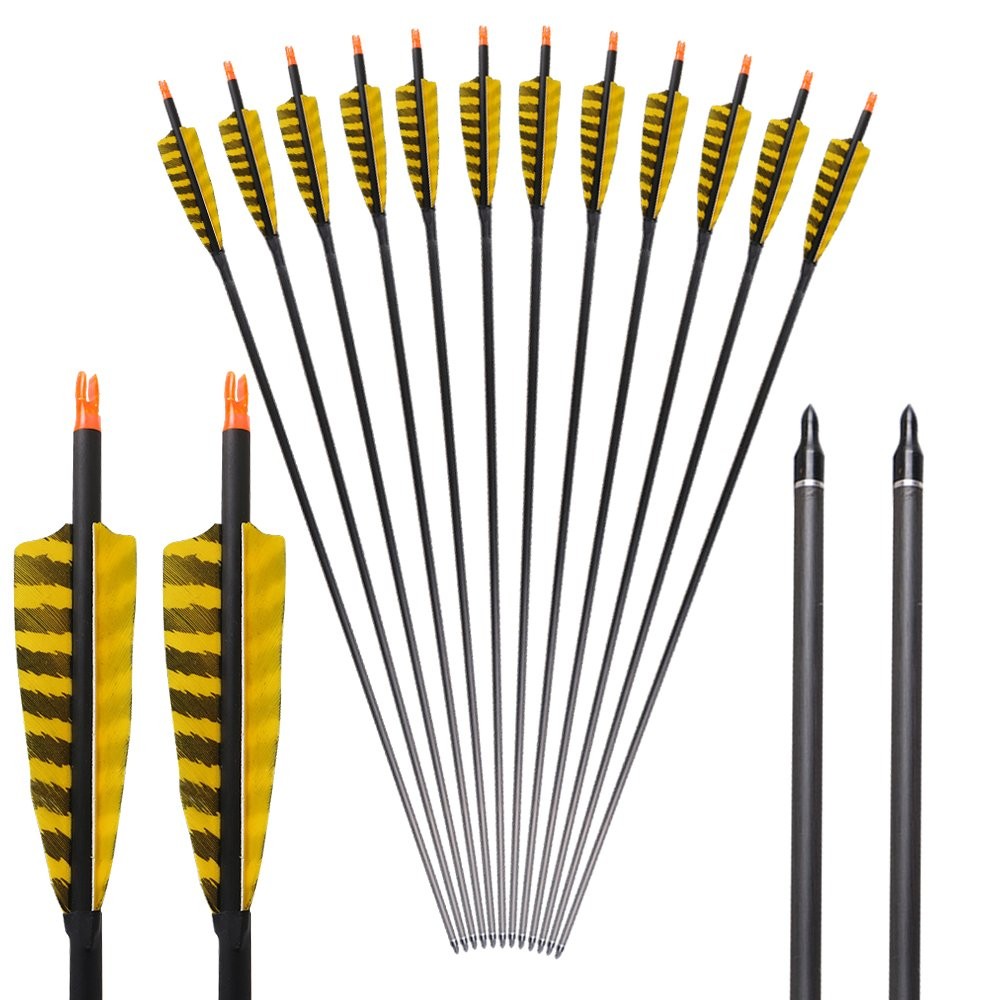 32 Inch Carbon Archery Arrows，Spine 400 with Removable Tips, 4inch Turkey Fea…
