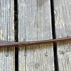 Bear Archery Brown Bear #45 Vintage Recurve Bow Brown 45lbs. 60in.