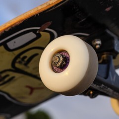 Rolling Stoned Skateboard Bearings 8 Pack – Purple