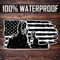 100Pcs Trump Stickers Vinyl Decal Waterproof 4″ for Car Laptop Bumper Window US