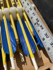 Vintage Lot Of 12 Wood Shaft Practice Arrows Some Need New Feathers