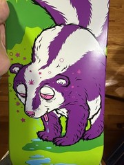 (Grail) Todd Bratrud Nike SB High Five Skunk Dunk Skateboard Deck