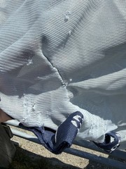 81” Bucas Buzz Off Full Neck Horse Fly Sheet – Used