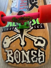 Jay Adams /dogtown 100% percent skateboarder very rare Jay AdamsPersonSkateboard
