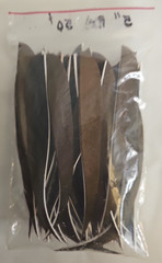 50 Gateway 5″ Parabolic RW Barred Brown Turkey Arrow Fletching Feathers New