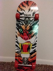 TA by Dorsa Sports Animal Print Skateboard, Muilti-color