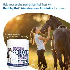 Equa Holistics HealthyGut™ Probiotics for Horses Dietary Supplement, All-Nat…