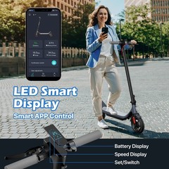 350W Electric Scooter Adults 30KM Long Range 10 inch Tire Commuter E-Scooter