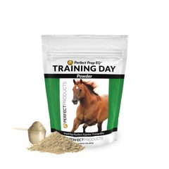 Perfect Prep Training Day Powder – 2 LB