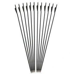 12Pcs 30Inch Fiberglass Arrows Turkey Feather Fit For Recurve bow/Compound bow