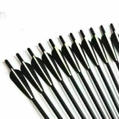 12Pcs 17″/20″/22″ Carbon Arrows OD 8.8mm Crossbow Bolts or Quiver Target Hunting