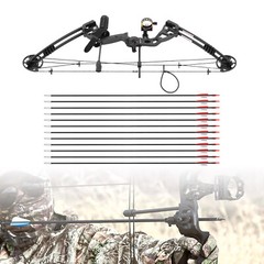 Black Archery Hunting Compound Bow Kit Beginner Archery Tool Right-Hand 30-60lbs