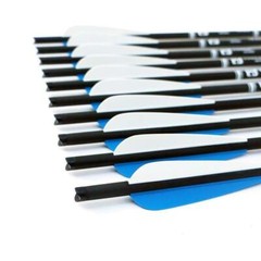 USA 12Pcs 20″ 22″ Crossbow Bolts Carbon Arrows Half Moon Nocks 8.8mm Shaft Shoot