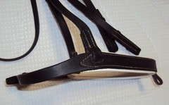 DOVER CIRCUIT Bridle & Bit – PADDED – 2-Tone Black & White – GREAT FREE Reins