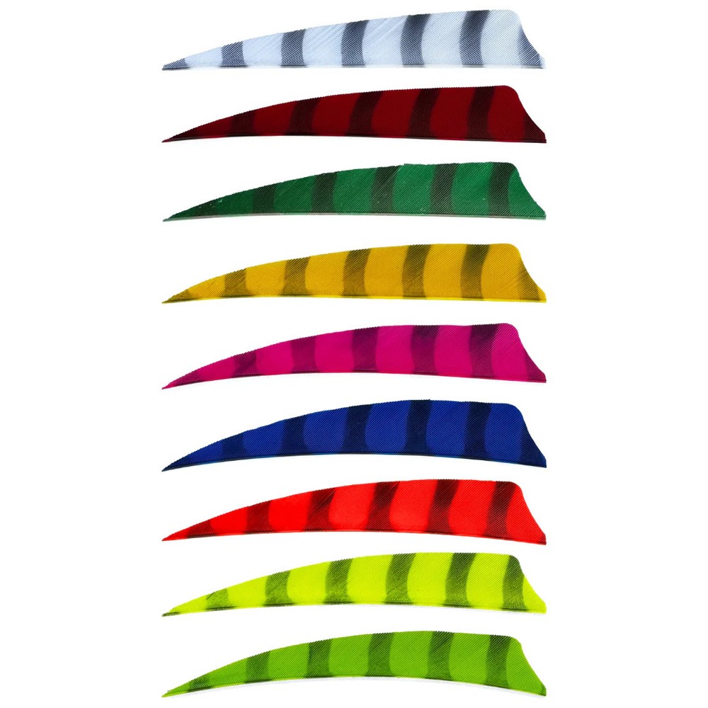 King Feathers – Shield Cut – 4″ – Barred Feathers