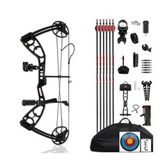Lanneret P10 Compound Bow and Archery Sets，0-70 lbs. Black