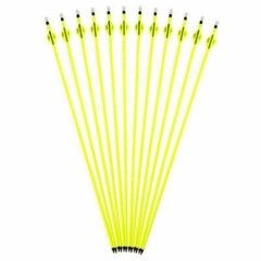12Pcs Archery Carbon Hunting Target Arrows 30″ SP500 For Compound/Recurve Bow US