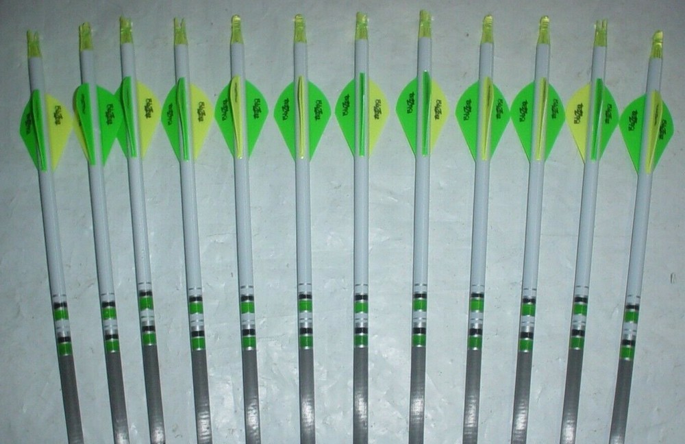 12 Gold Tip XT Hunter 300 Carbon Arrows! Custom White Dip Crest/Blazer Vanes