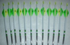 12 Gold Tip XT Hunter 300 Carbon Arrows! Custom White Dip Crest/Blazer Vanes