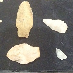 Stone Arrowhead Points Lot w/ Display Case, Multicolor – Hunting Archery