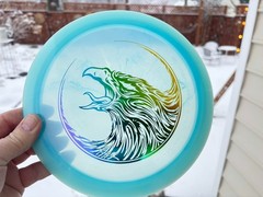 Champion FLAT Firebird Fierce Falcon Disc Golf Swirl Innova Artist Limited #6036
