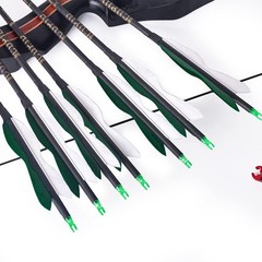 31″ Carbon Hunting Arrows with 5″ Turkey Feathers, Pack of 12 | Spine 500, Ar…