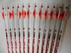 1dz.Carbon Express Destroyer MX 350 Dipped/Crested Arrows DS-troyer