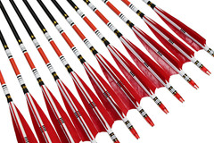 TTFLY FLETCHING 12PCS Red Turkey Feather 31 Inches Carbon Arrows Tips Targeting