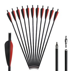 20in Hunting Carbon Crossbow Bolts Crossbow Arrows 100 Grain Broadheads Shooting