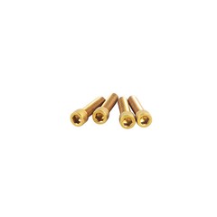 5/16″-18*1-1/4″ Gold Stainless Steel Handlebar Top Cover Riser Bolts for Harley