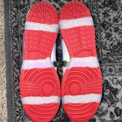2022 Nike SB Dunk Low «eBay»US 15