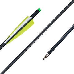 12pcs 20 inch Crossbow Bolts Carbon Crossbow Arrows / 12pcs 100 grain Broadheads