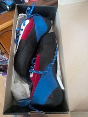 Red/white/blue Ashima evolve climbing shoes