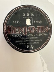 Benjamin Air Gun Ammunition 20Cal 5.0mm Pellets 500 Count