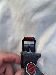Scott Archery Shark Release