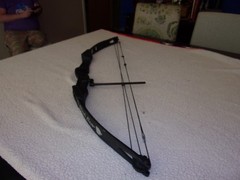 Bear Black Bear Compound Bow