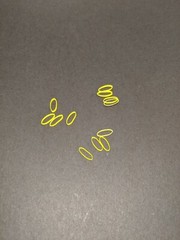 (12) SWHACKER type shrink bands for 100 gr grain Swhacker, 2 blade broadheads.