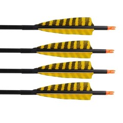32 Inch Carbon Archery Arrows，Spine 400 with Removable Tips, 4inch Turkey Fea…