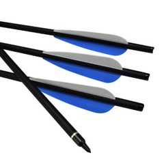 20″ Archery Mixed Carbon Crossbow Bolts Target Hunting Blue Vanes 12 pack