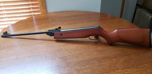 Daisy Model 131 .177 Pellet Gun in Great Condition