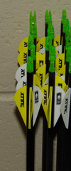 New 12 Easton Axis SPT 300 Spine 5mm Arrows-10.7 GPI- w/50 gr Stainless Outserts