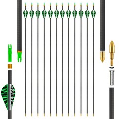 Carbon Arrows 31in for Hunting & Target Practice 350 Spine, 12 Pack with Remo