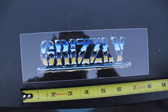 Grizzly Skateboard Grip Tape Chrome Silver Z65C Original Skateboarding STICKER