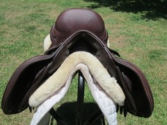 16.5″ SCHLEESE JETE close contact jumping saddle- WOOL FLOCKED- 2023 MODEL!!