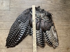 1 (One) Grade #1 Wild Eastern Tom Turkey Whole Left Wing Fletching Fly Tying