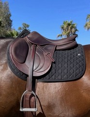 Ogilvy Black Classic Jump Profile Pad Size Small